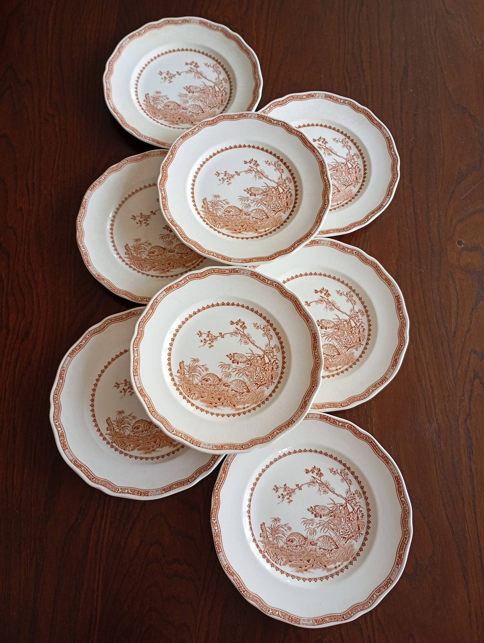 English flat plates Furnivals "Quail"