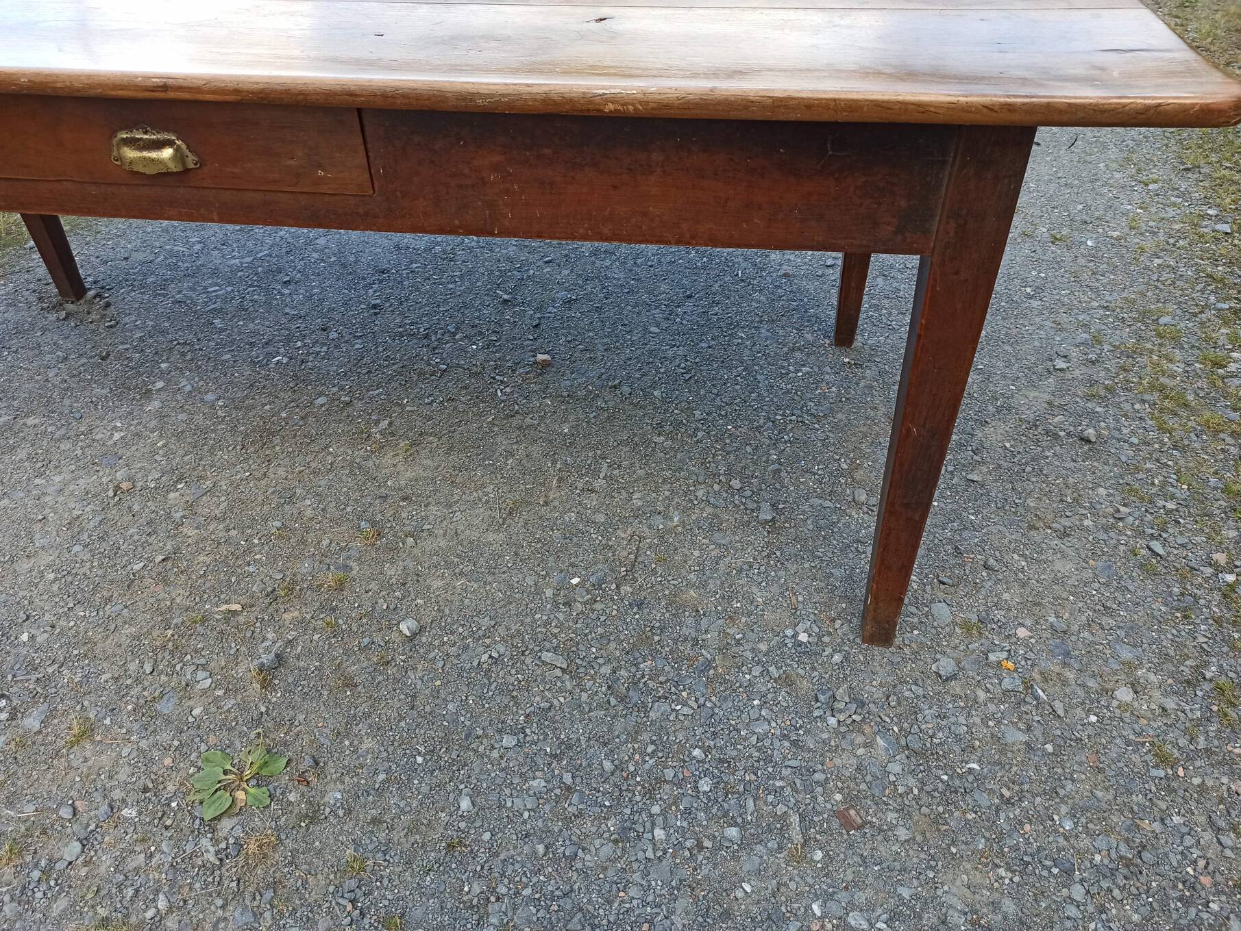 Limousin limousine farm table