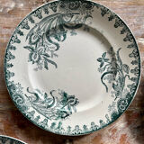 Flat plates terre de fer iris model