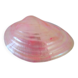 Pink mother-of-pearl Tellina shell