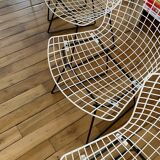 Wire chairs Harry Bertoïa