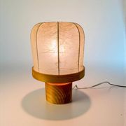 Italian "Cocoon" table lamp, resin and pine wood, 1970s