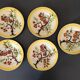 Set of 5 Orchies Moulin des Loups plates D20cm