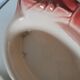 Charles Amand ceramic ramekin in the shape of a lobster