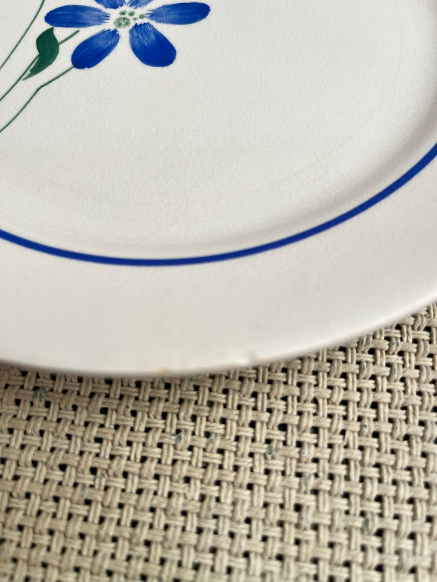 7 dinner plates