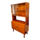 Storage cabinet with showcase of the 60s pedestal shelf