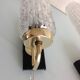 Pair of brass sconces and tulip glass 60