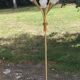 Vintage floor lamp in gilded brass with 5 glass tulips from the 50s