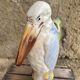 Pitcher barbotine stork