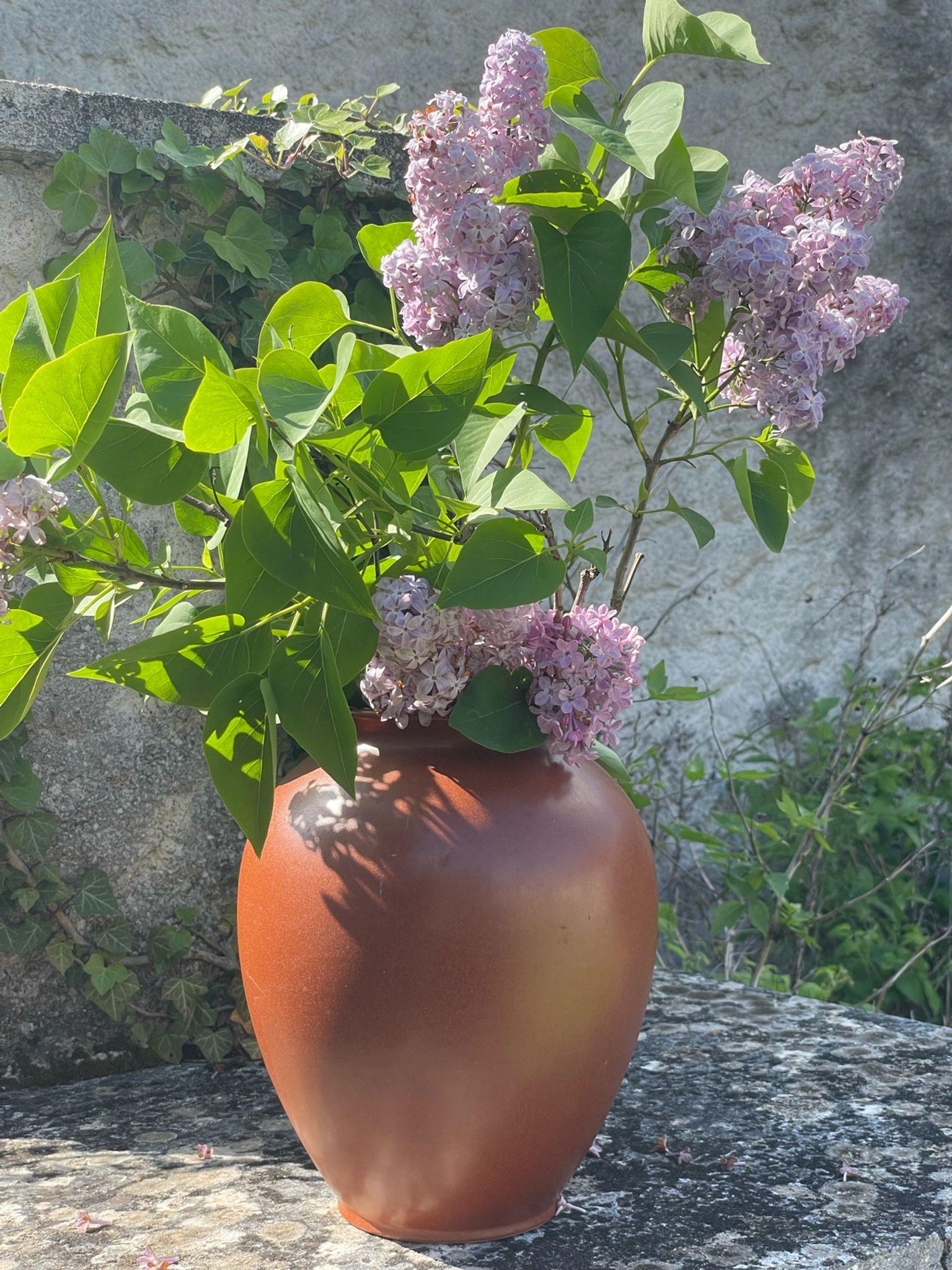 Vase w.germany 650-26  céramique fauve vintage