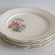 Assiettes plates Digoin & Sarreguemines