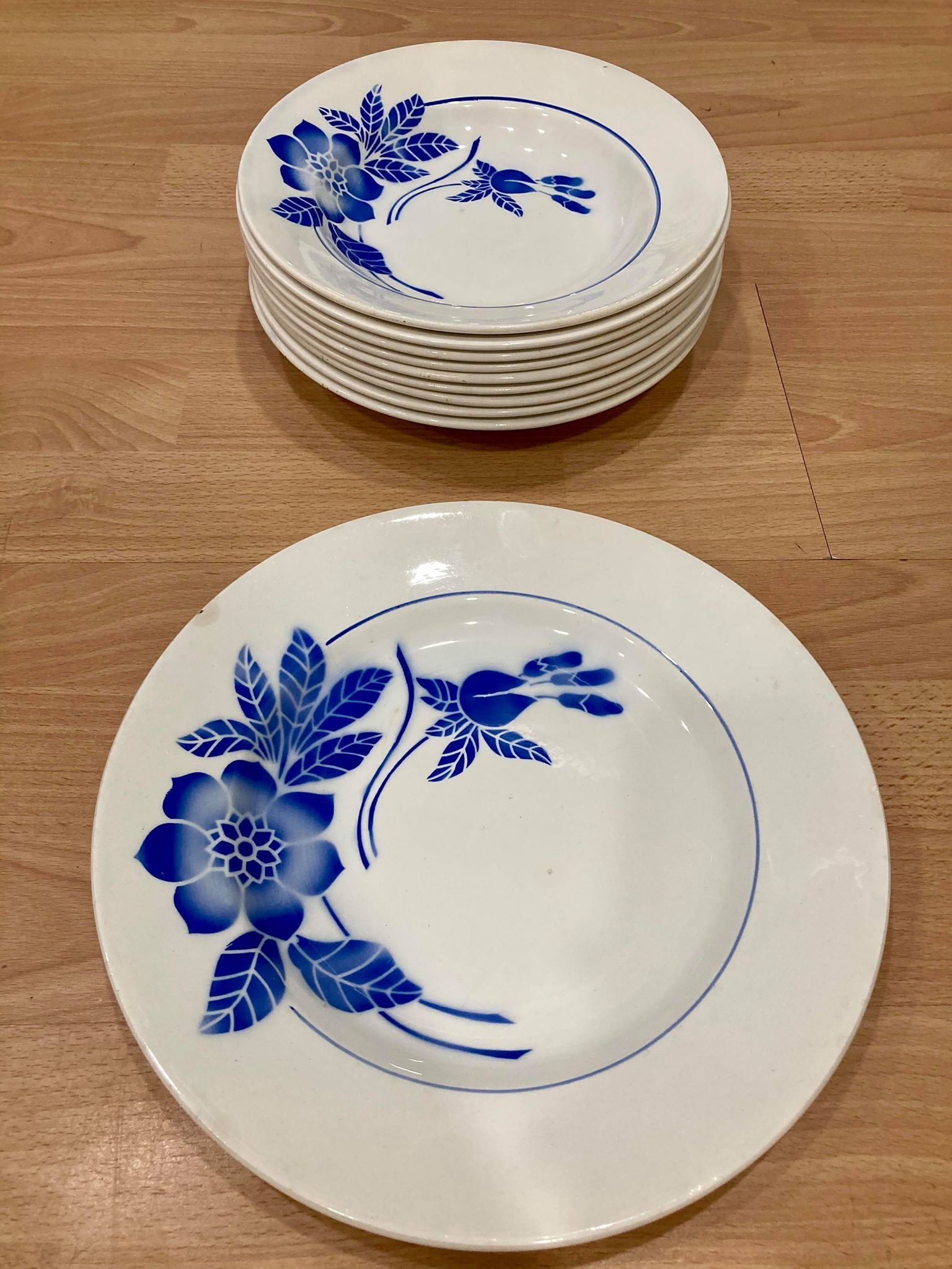 Lot of 9 hollow plates and dish Digoin Sarreguemines
