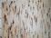 Handmade Indian vintage carpet 90cm x 375cm 1980s, 1C714