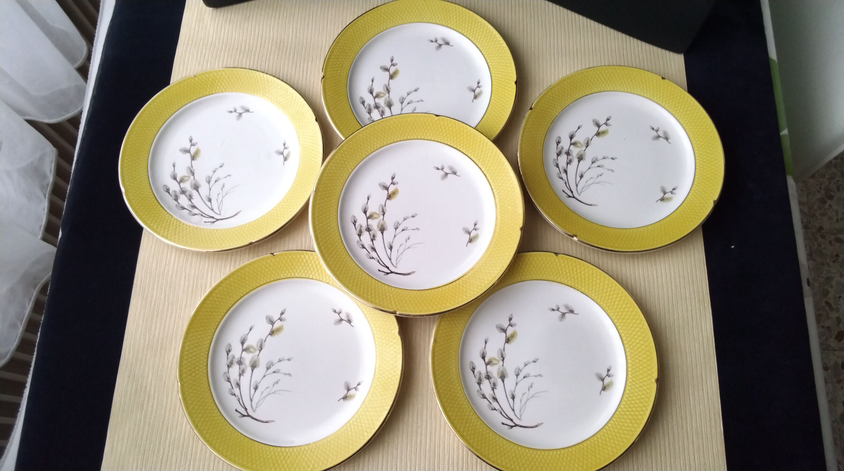 Set of 6 dessert plates Salins France