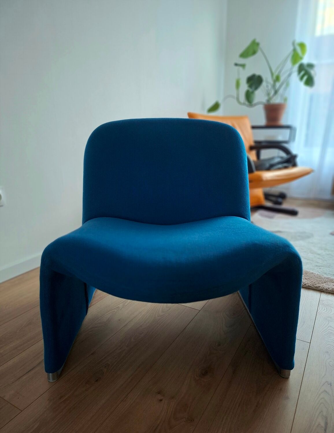 Alky fireside chair Giancarlo Piretti