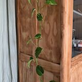 Old glass-fronted wooden library – blue interior