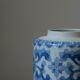 Chinese porcelain vase