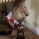 large alabaster lamp sculpted in the shape of a chess horse head 1960.