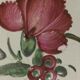 Eastern earthenware plate the Islettes flower bouquet decoration