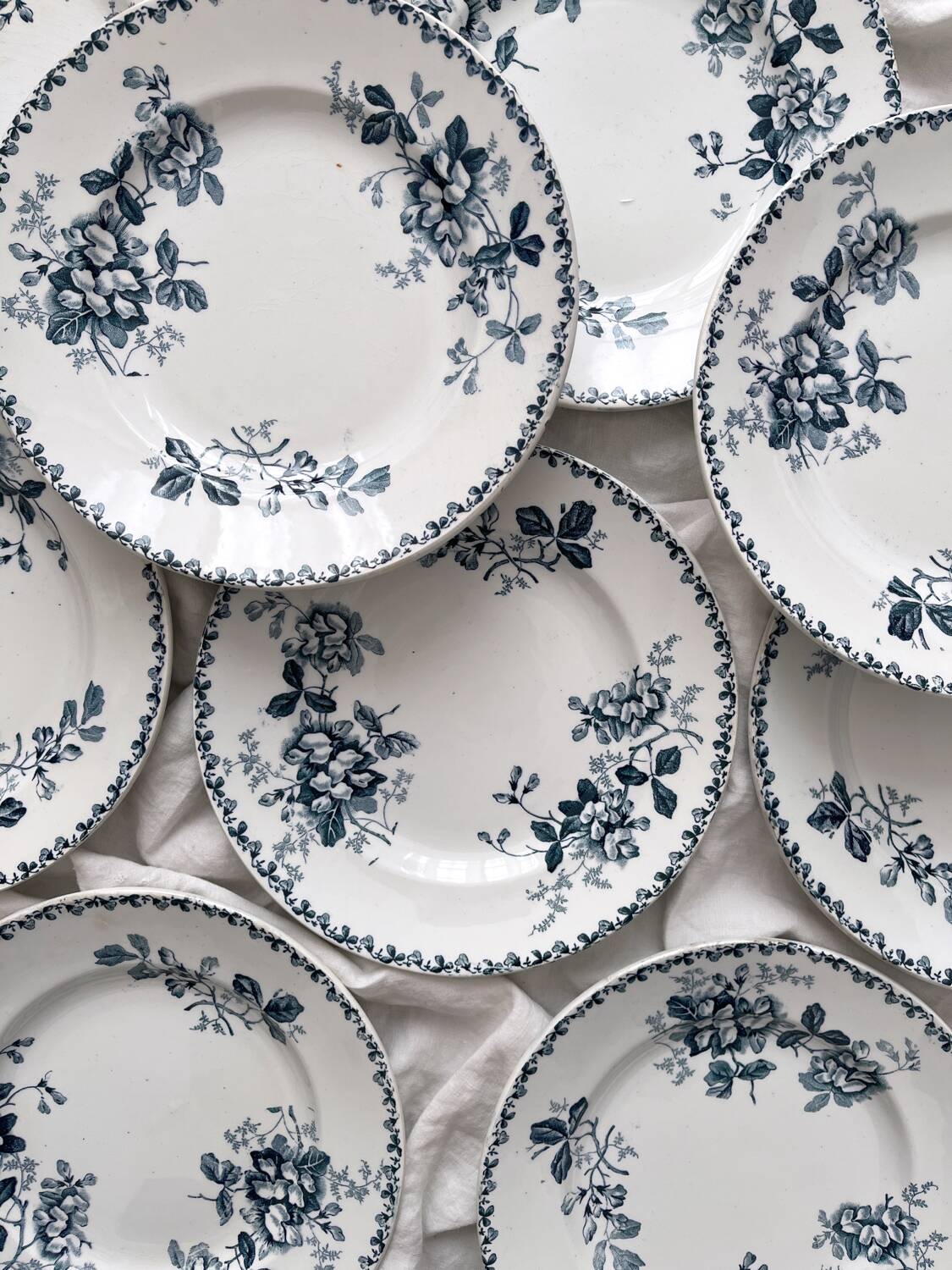 10 assiettes plates en terre de fer « Acacia » Moulin des Loups et Hamage