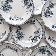 10 flat plates in iron earth “Acacia” Moulin des Loups and Hamage
