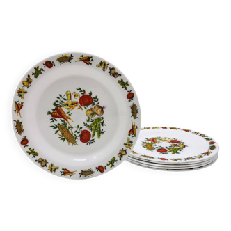 6 “Arcopal” dinner plates with vegetable motifs