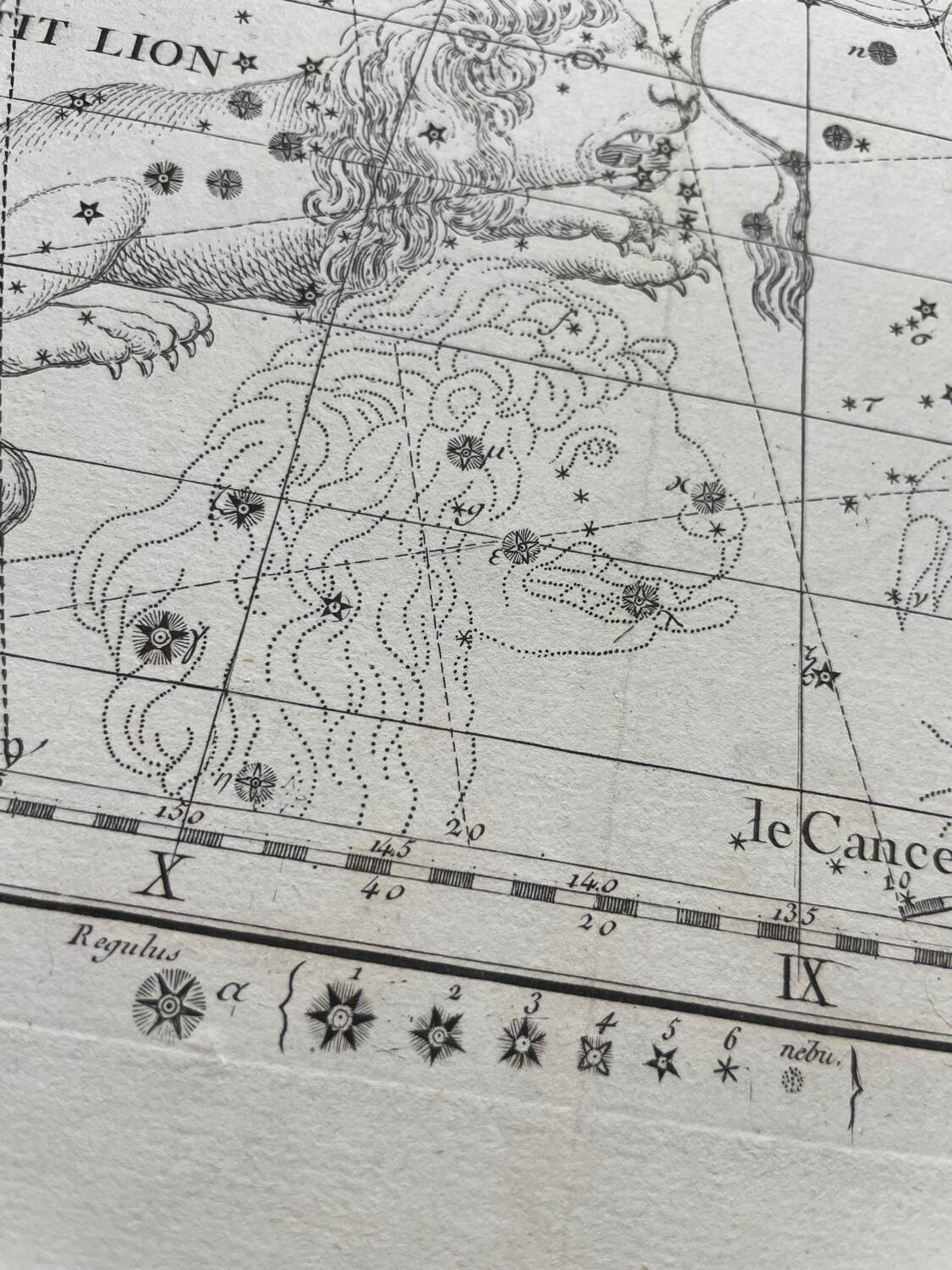 The Lynx and the Little Lyon - Astrology plate 1795