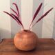 Contemporary wooden ball vase
