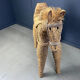 Vintage Spanish straw life-size pony/horse, 1960s
