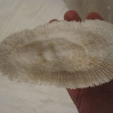 Coral white set vintage deco