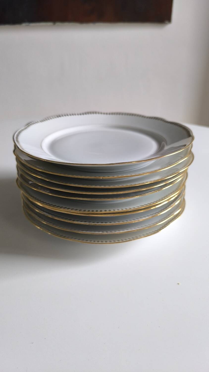 Set of 10 porcelain flat plates