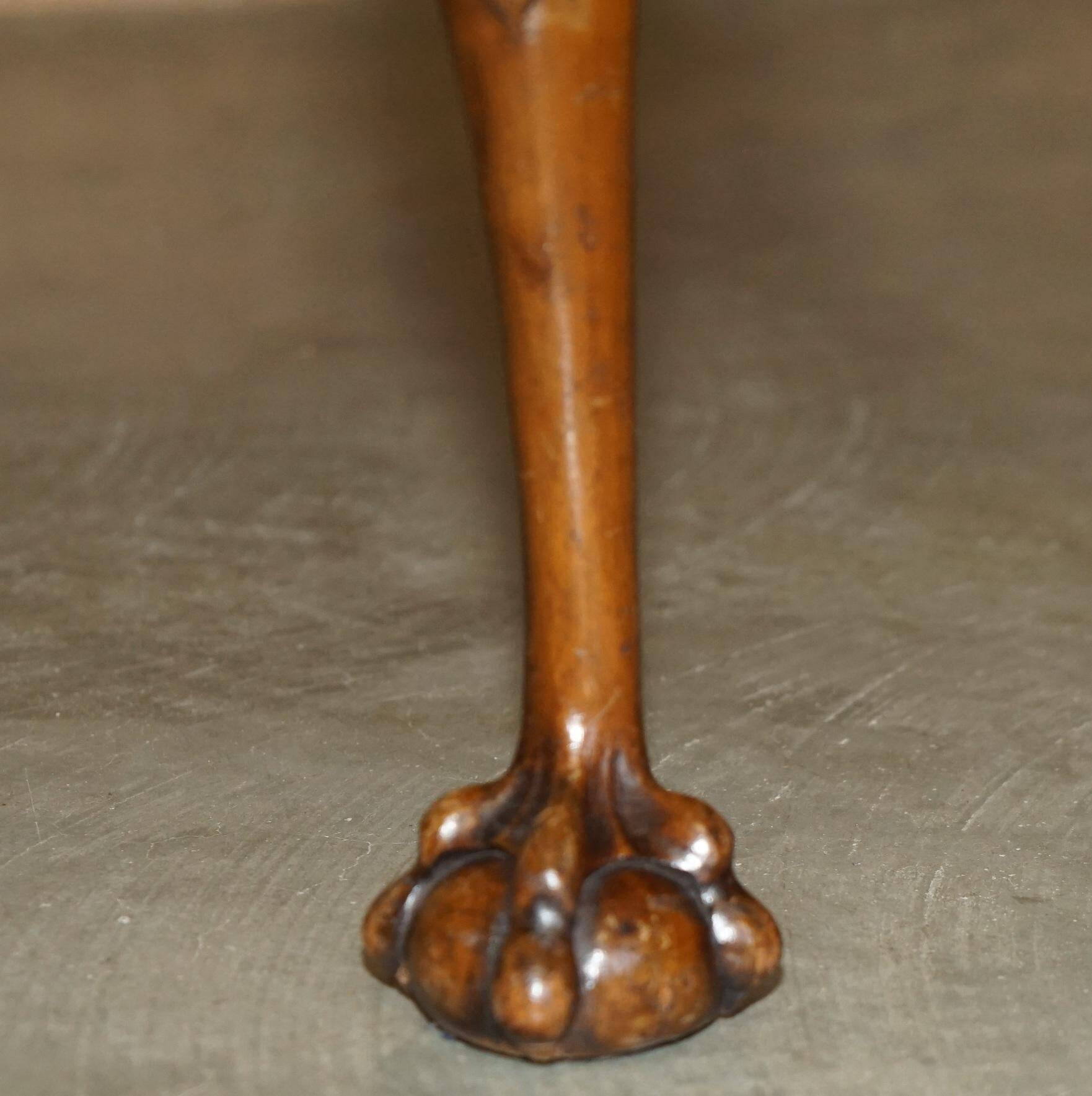 Banc ancien en cuir et noyer burr, style victorien