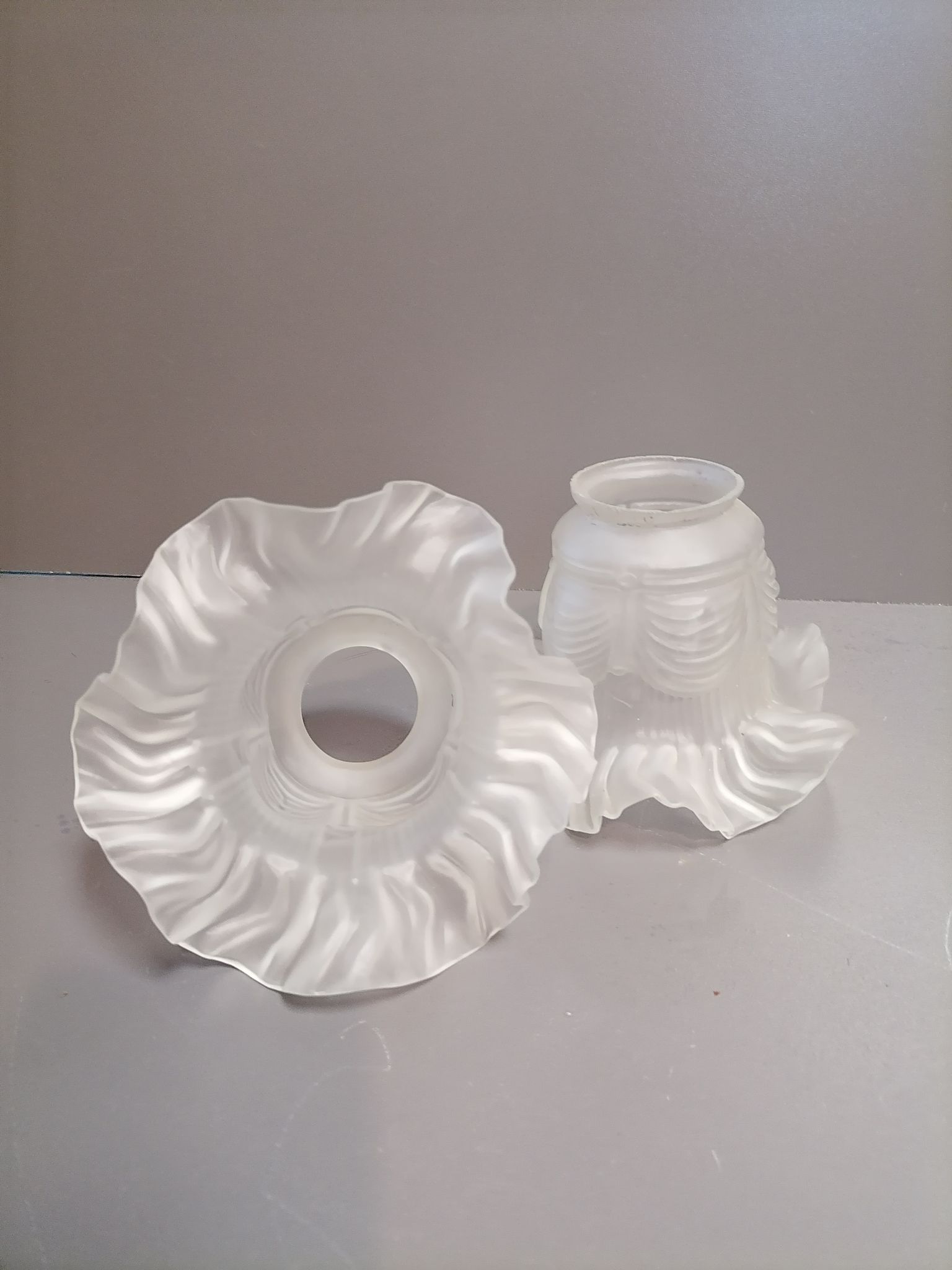 Tulip for Opaque Glass Chandelier