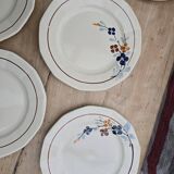 9 Sarreguemines plates model 5041