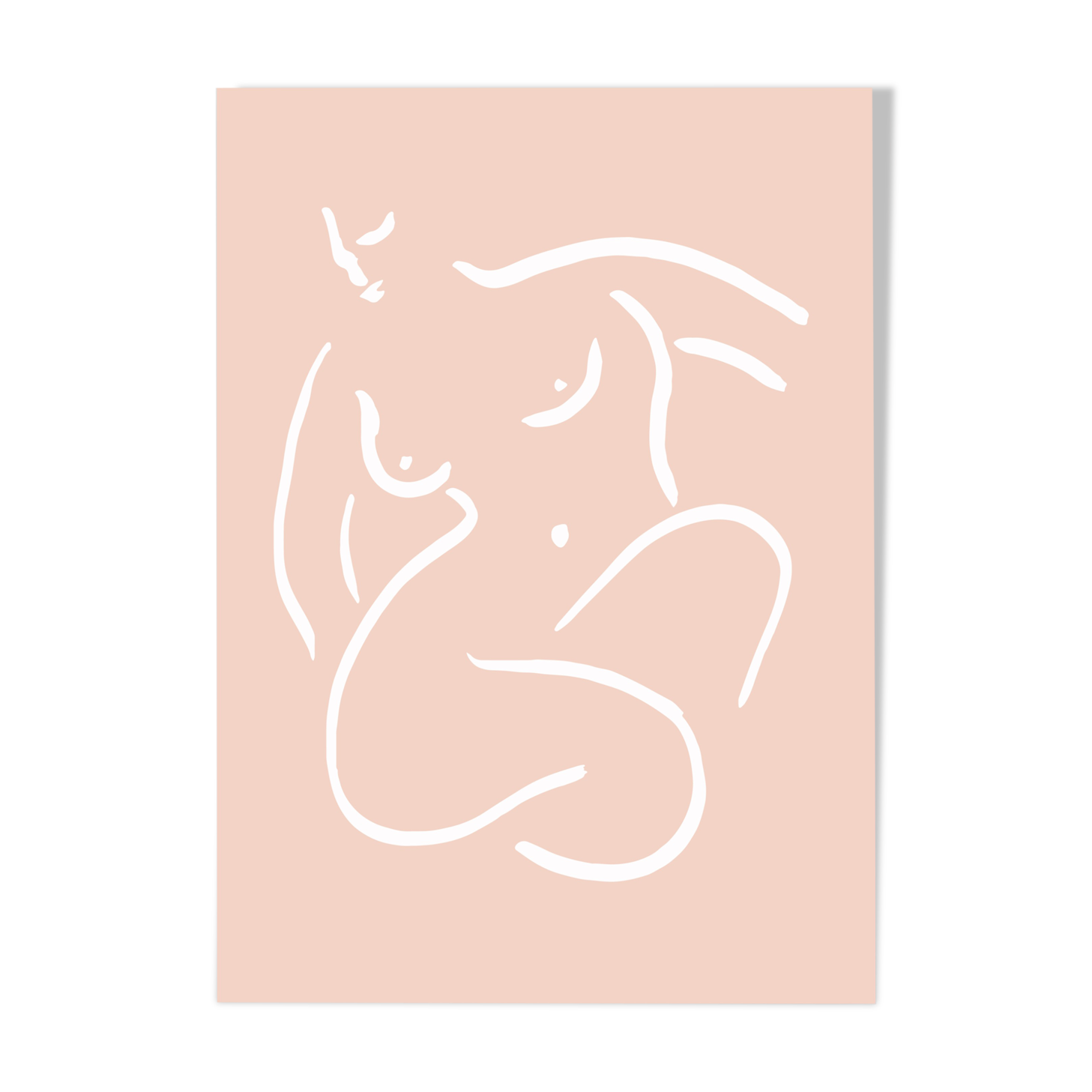 ‘Emily’ — Special Edition in blush