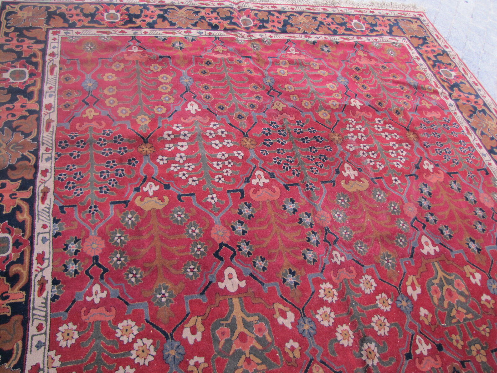 Carpet old french points janus done hand 245X345cm