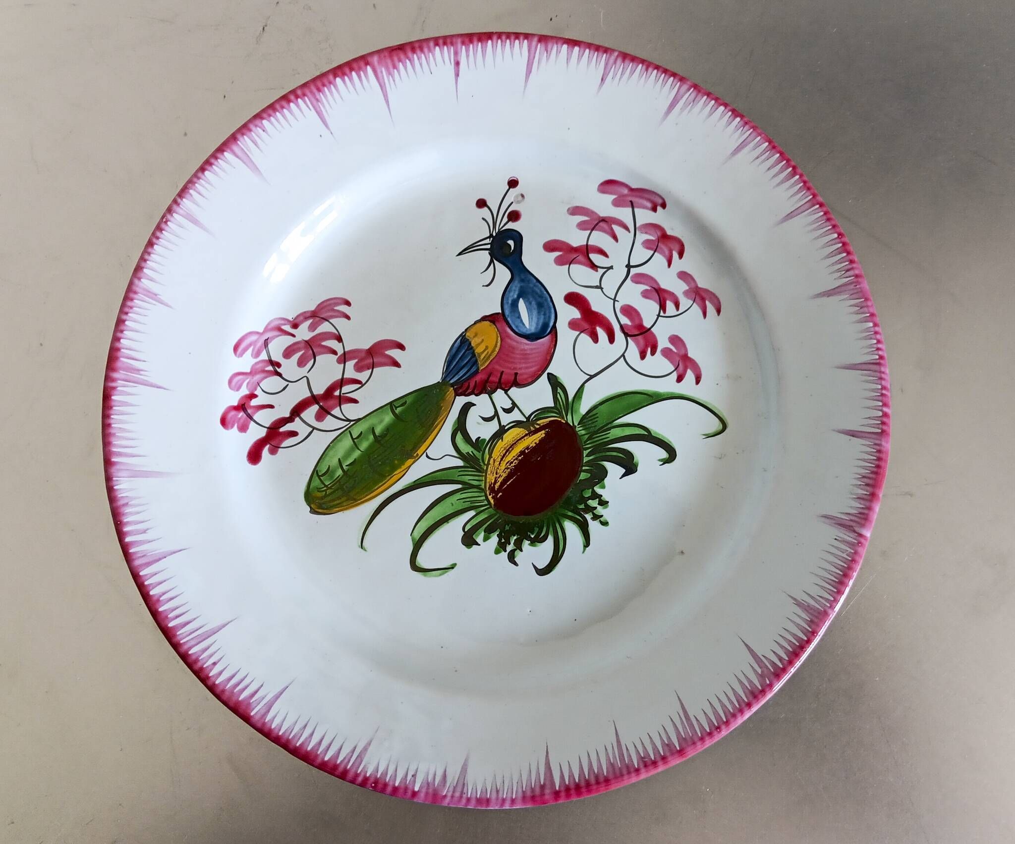 Rare Les Islettes earthenware plate decorated with a peacock. 19th century.