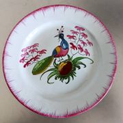 Rare Les Islettes earthenware plate decorated with a peacock. 19th century.