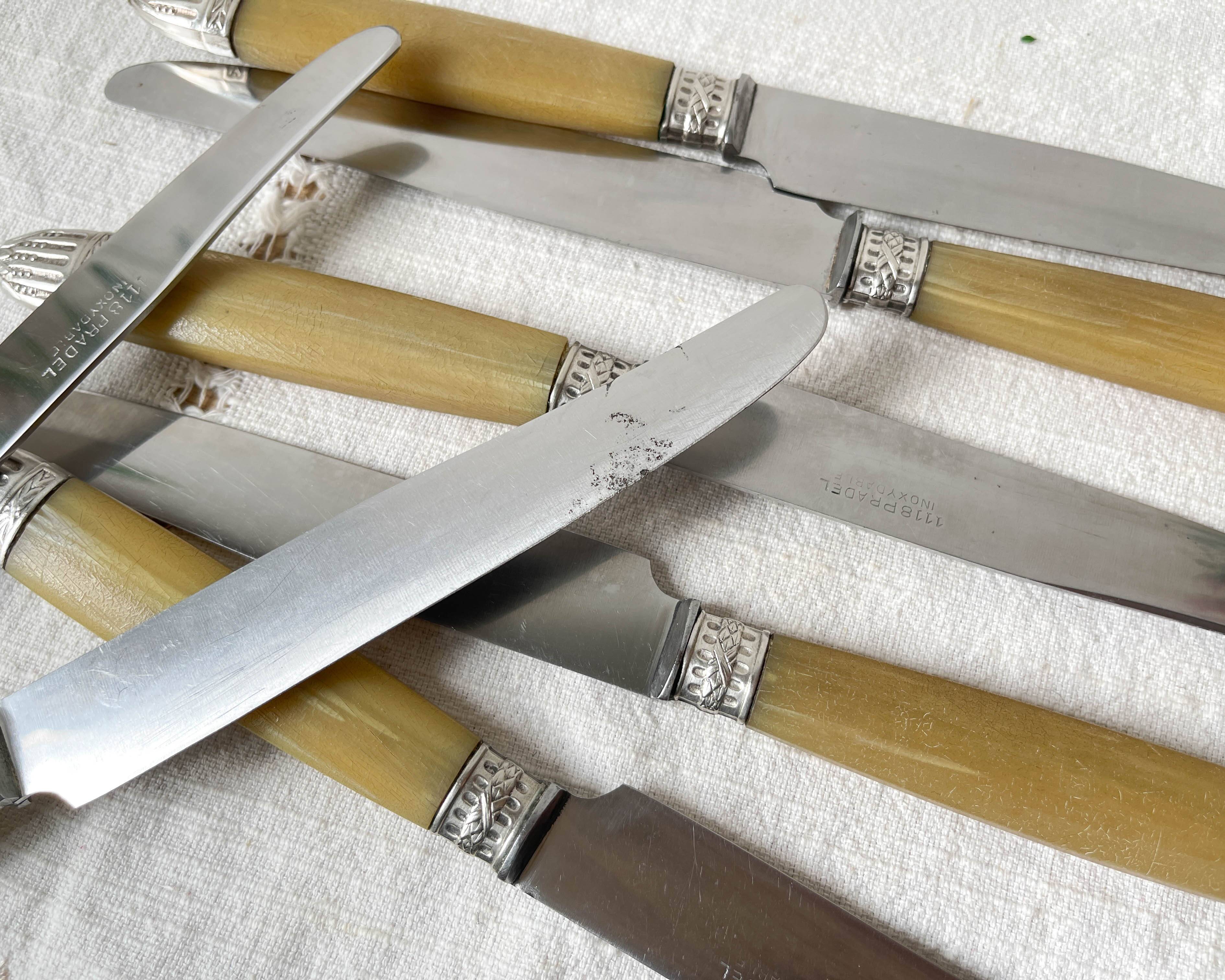 12 couteaux vintage bakélite Inox Pradel