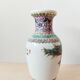 Chinese vase decorated with a peacock