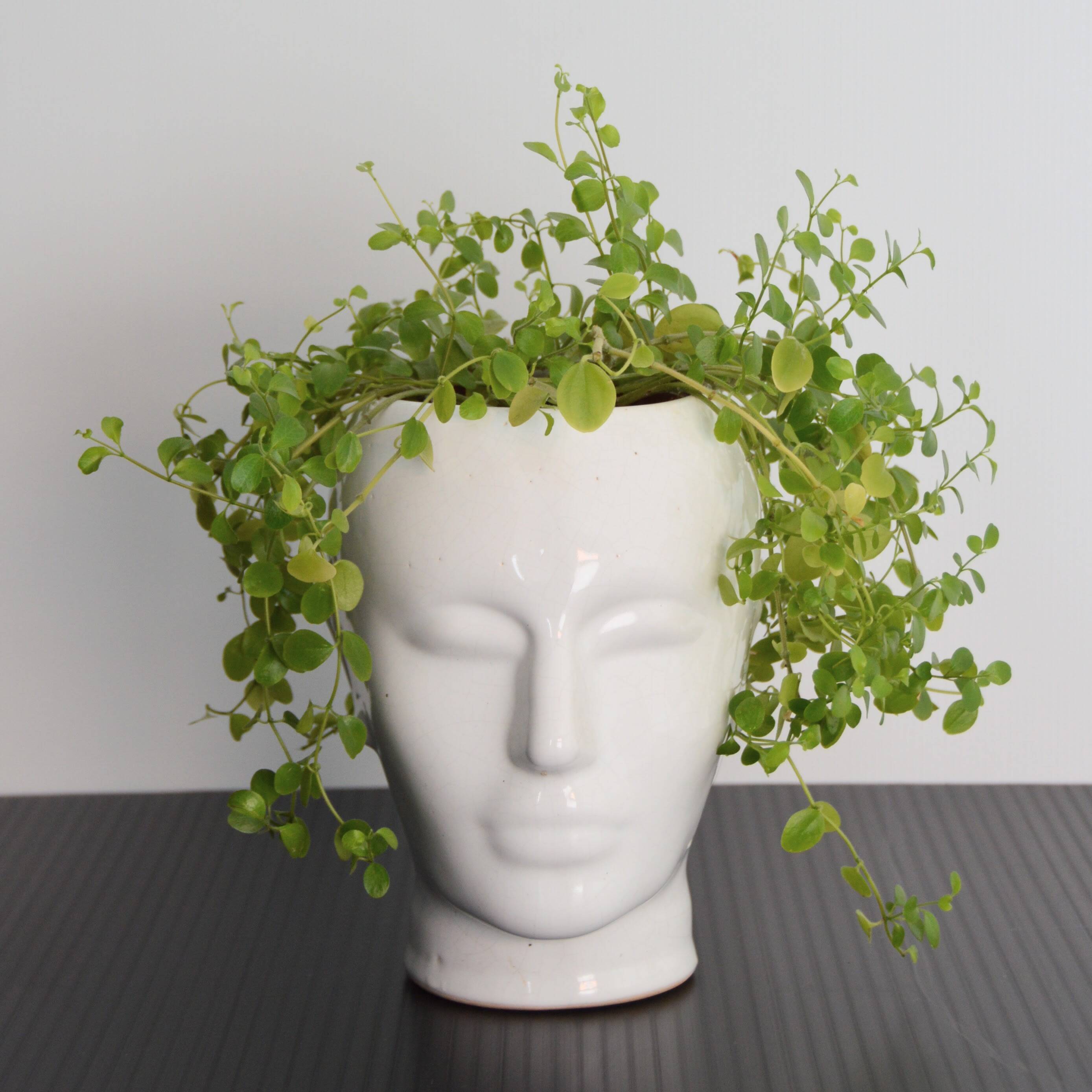 Earthenware cachepot or vase with a head, 1970