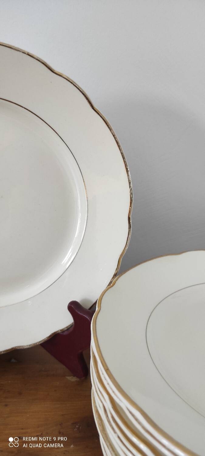 Villeroy and Boch dinner plate set