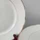 Villeroy and Boch dinner plate set