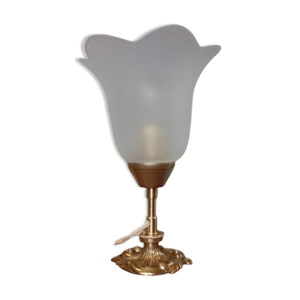 Lampe de table bronze et globe pétale opalescent