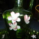 Georges Sand liquor service