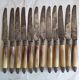 Box 12 dessert knives chatellerault horn handle