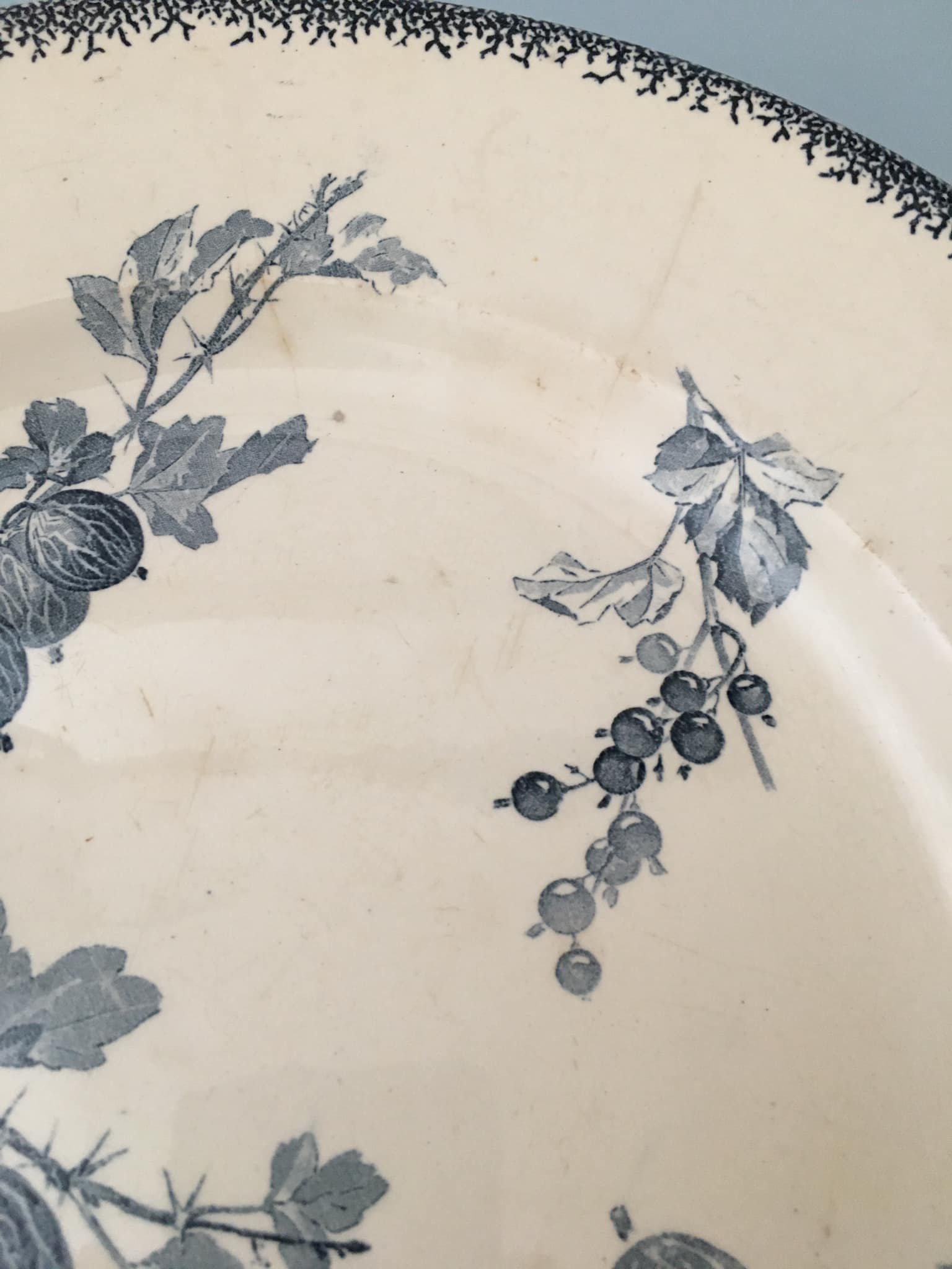 Faience serving dish stamped U & CIE - Sarreguemines, Gooseberry model