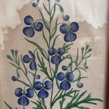 Botanical vintage illustration