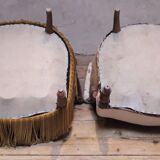 Pair of large toads to retap