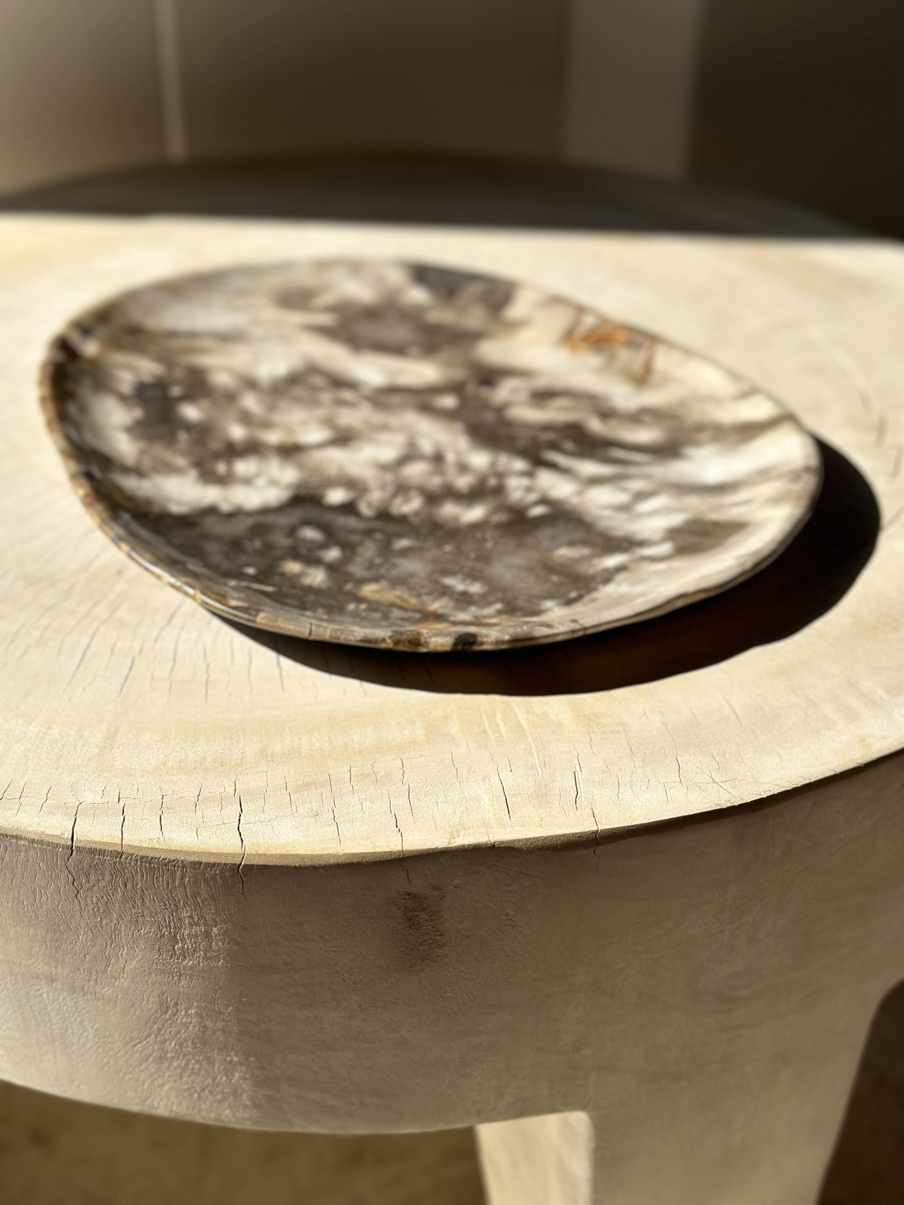 Very large empty pocket or dish in medium light petrified wood 1143